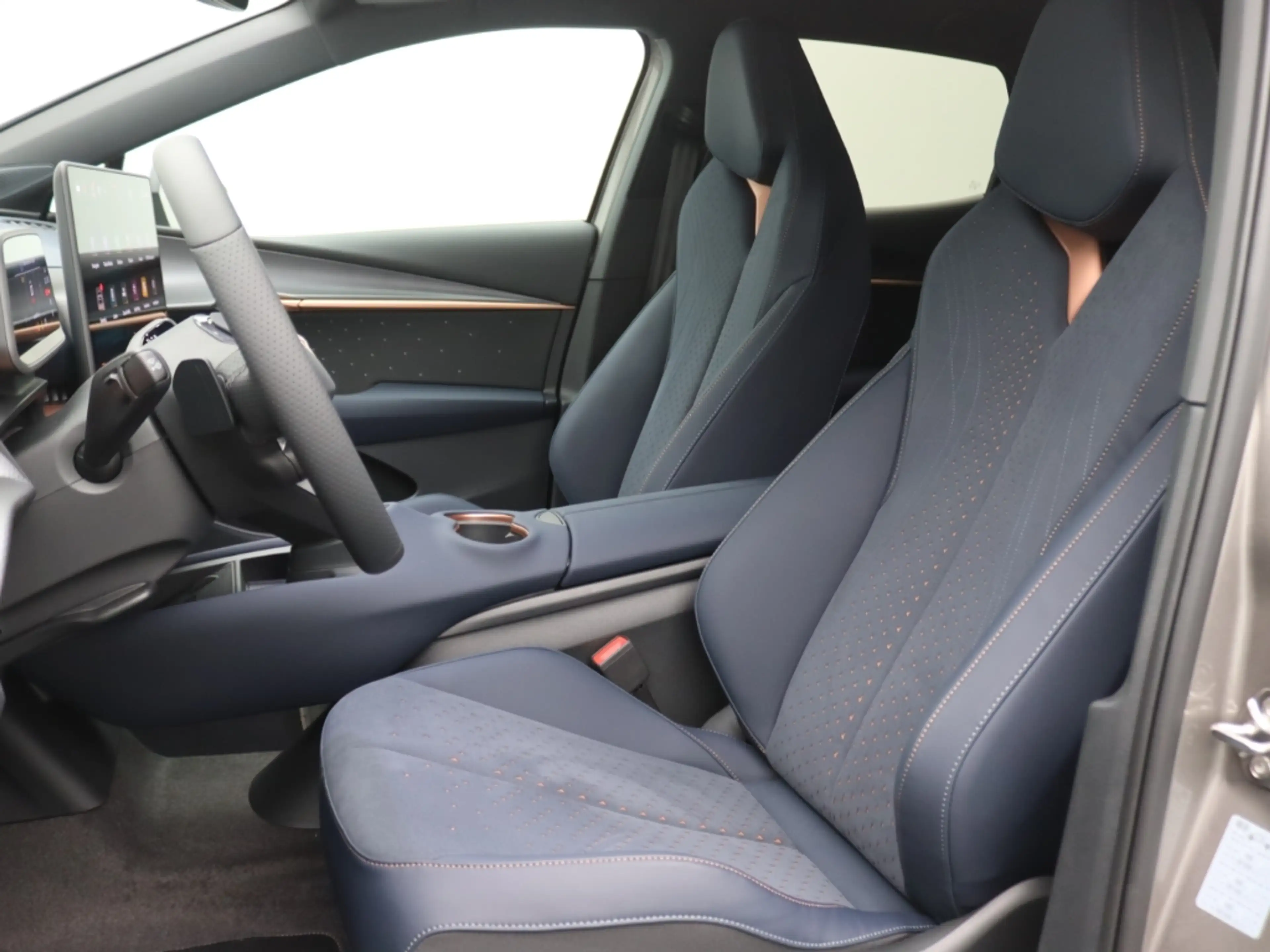 CUPRA Tavascan 210 kW Endurance Navi Memory Sound AHK° — photo 10