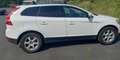 Volvo XC60 XC60 D5 AWD Weiß - thumbnail 2