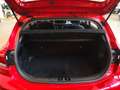 Kia Rio Rio 1.2 Style Gpl 82cv - thumbnail 8