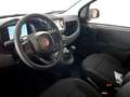 Fiat Panda 1.0 FireFly Hybrid Icon Nero - thumbnail 6