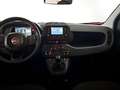 Fiat Panda 1.0 FireFly Hybrid Icon Nero - thumbnail 9