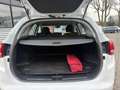 Kia Ceed SW / cee'd SW Sportswagon 1.6 GDI DynamicLine -CLIMA-CRUISECONTR Weiß - thumbnail 12