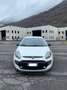 Fiat Punto Evo 3p 1.4 m-air Dynamic s&s 105cv Bianco - thumbnail 3