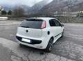 Fiat Punto Evo 3p 1.4 m-air Dynamic s&s 105cv Bianco - thumbnail 2