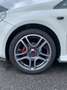 Fiat Punto Evo 3p 1.4 m-air Dynamic s&s 105cv Bianco - thumbnail 5