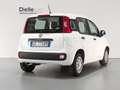 Fiat Panda Panda 1.2 Easy 69 CV S&S Blanc - thumbnail 2