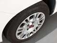 Fiat Panda Panda 1.2 Easy 69 CV S&S Blanc - thumbnail 4