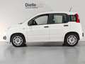 Fiat Panda Panda 1.2 Easy 69 CV S&S Blanc - thumbnail 3