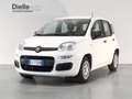 Fiat Panda Panda 1.2 Easy 69 CV S&S Blanc - thumbnail 1