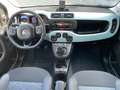 Fiat Panda 1.0 City Cross Hybrid Launch Edition*PREZZO REALE* Groen - thumbnail 12