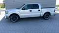 Ford F 150 F 150 undefined Plateado - thumbnail 1