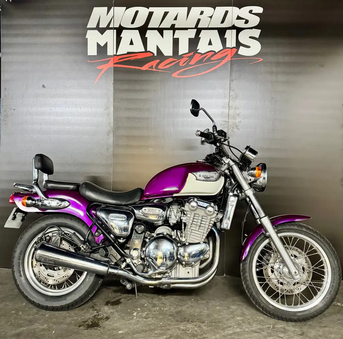 Triumph Adventurer 900 Violett - 2