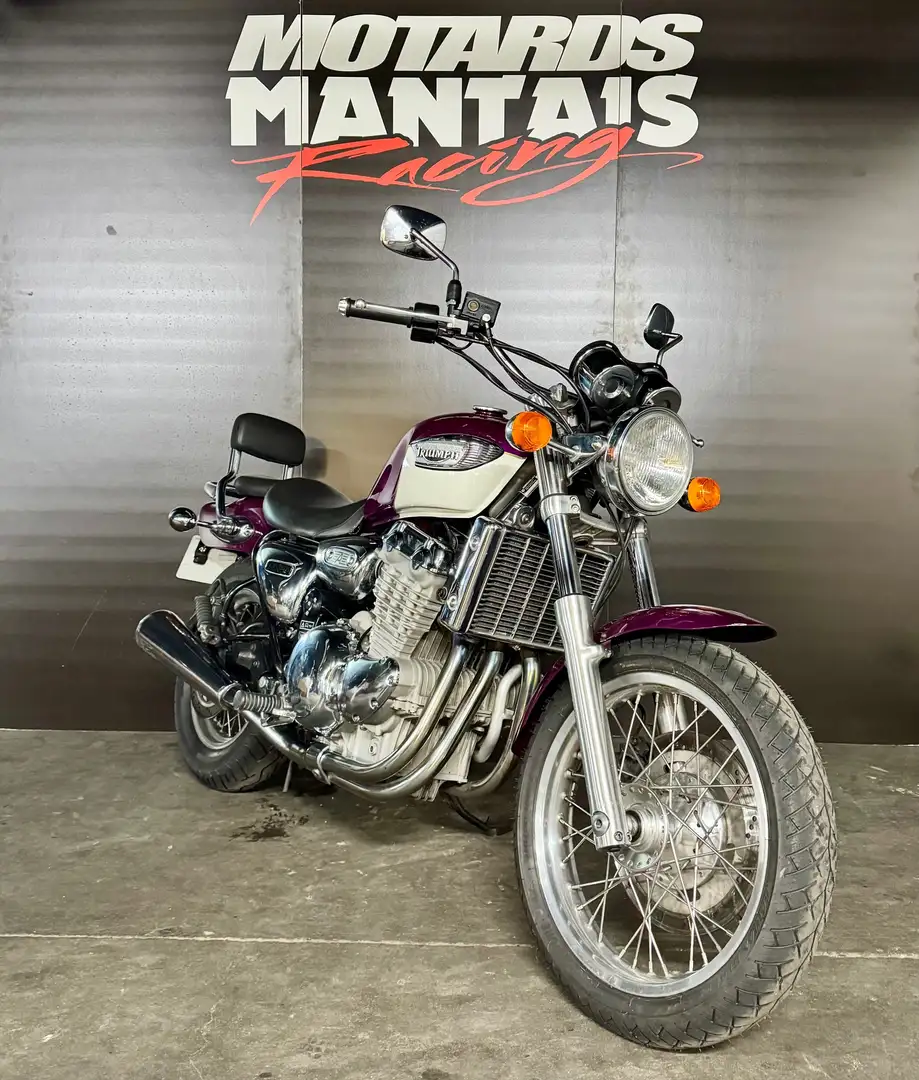 Triumph Adventurer 900 Mauve - 1