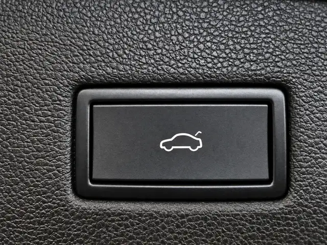 Volkswagen Tiguan view 13