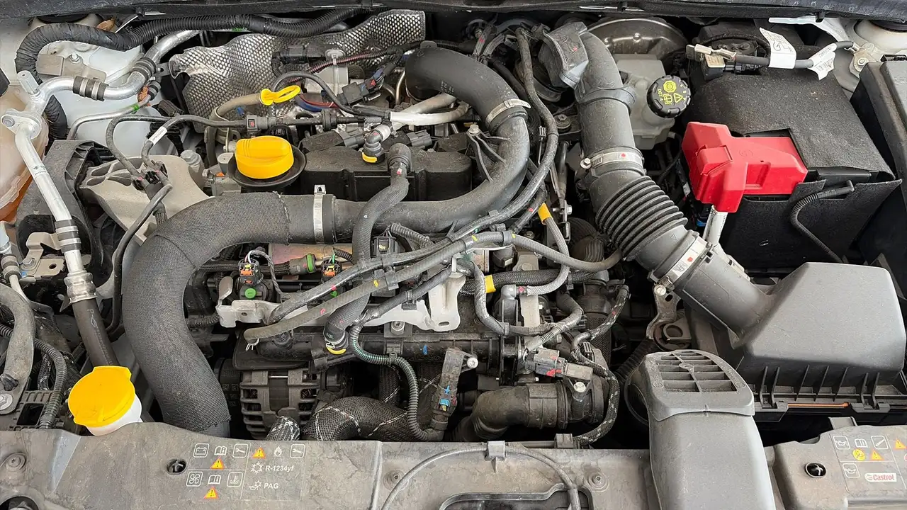Renault Clio V 2019 1.0 TCE TECHNO GPL 100CV 15