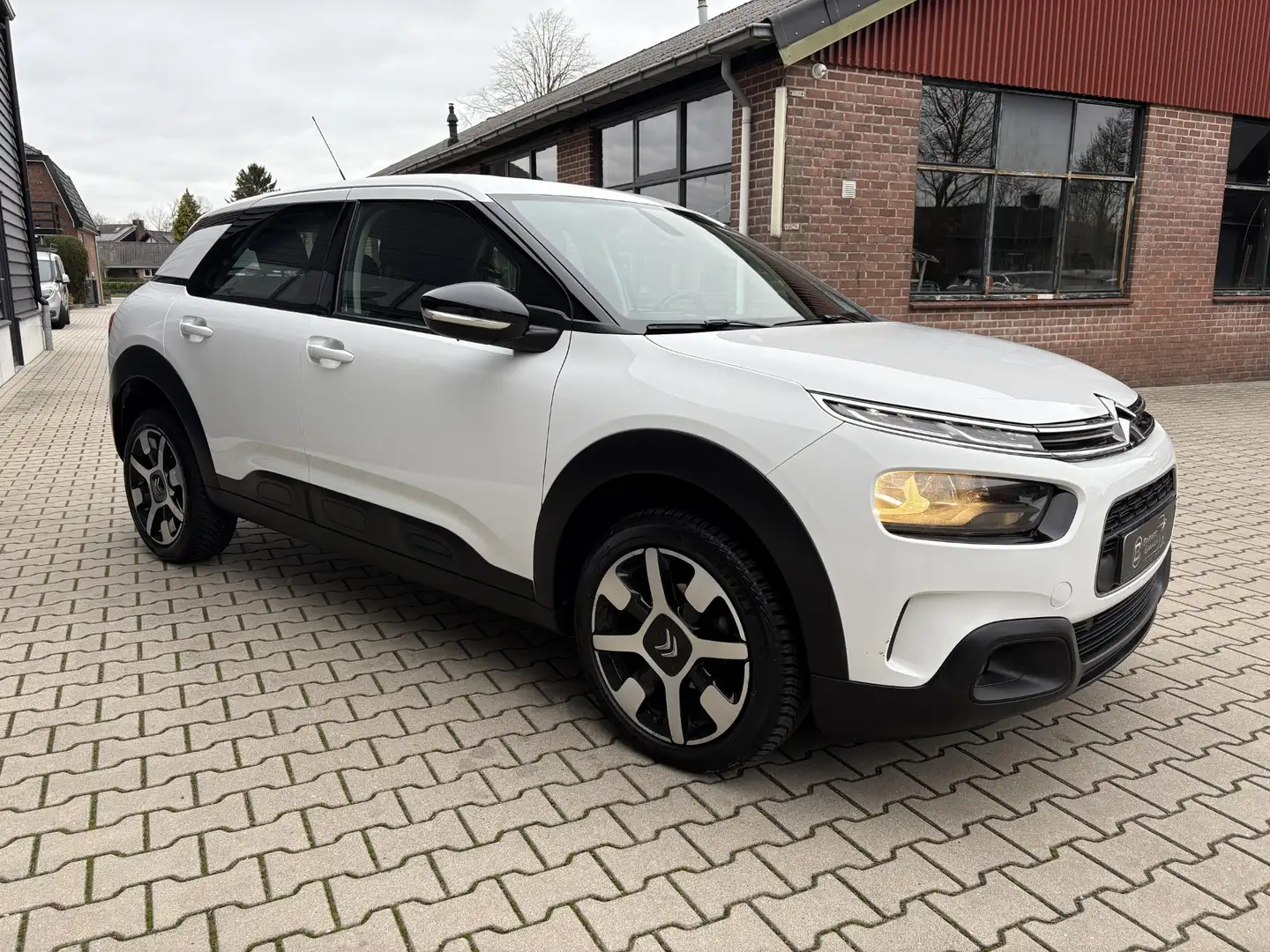 Citroen C4 Cactus 1.2 PureTech Shine Riem is vervangen, Camera, Navi Wit - 2