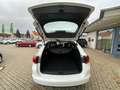 Opel Astra K ST 1.5 D Edition 2xPDC,SHZ,LHZ,Klima Weiß - thumbnail 19
