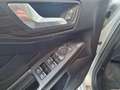 Ford Focus CLIPPER VIGNALE 1.5 BENZINE 180PK AUTOMAAT+TAL VA Plateado - thumbnail 12