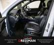 Audi SQ7 4.0 TDI q. MATRIX PANO ACC BOSE STANDHZ. AHK Wit - thumbnail 10