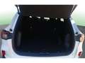 Ford Kuga 1.5 EcoBlue Titanium FWD 120 Blanco - thumbnail 14