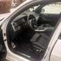 BMW X5 M X5 M50d Weiß - thumbnail 22