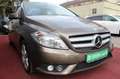 Mercedes-Benz B 200 SPORTPAKET KLIMA NAVI AHK PDC 17.ZOLL 2.Hd Braun - thumbnail 15
