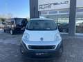 Fiat Fiorino 1.3 MTJ 95CV CARGO SX Blanc - thumbnail 2