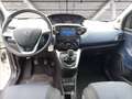 Lancia Ypsilon 1.0 firefly hybrid Platino s&s 70cv Bianco - thumbnail 12