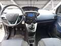 Lancia Ypsilon 1.0 firefly hybrid Platino s&s 70cv Bianco - thumbnail 13