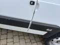 Fiat Panda 1.0 4x4 my86 Bianco - thumbnail 13