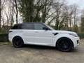 Land Rover Range Rover Sport 3.0 TDV6 HSE (EU6b) - Belg wagen - Full option-OHB Blanc - thumbnail 3