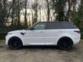 Land Rover Range Rover Sport 3.0 TDV6 HSE (EU6b) - Belg wagen - Full option-OHB Blanc - thumbnail 6