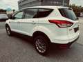 Ford Kuga Titanium Weiß - thumbnail 3