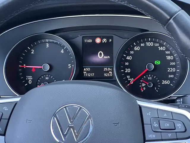 Volkswagen Passat view 14
