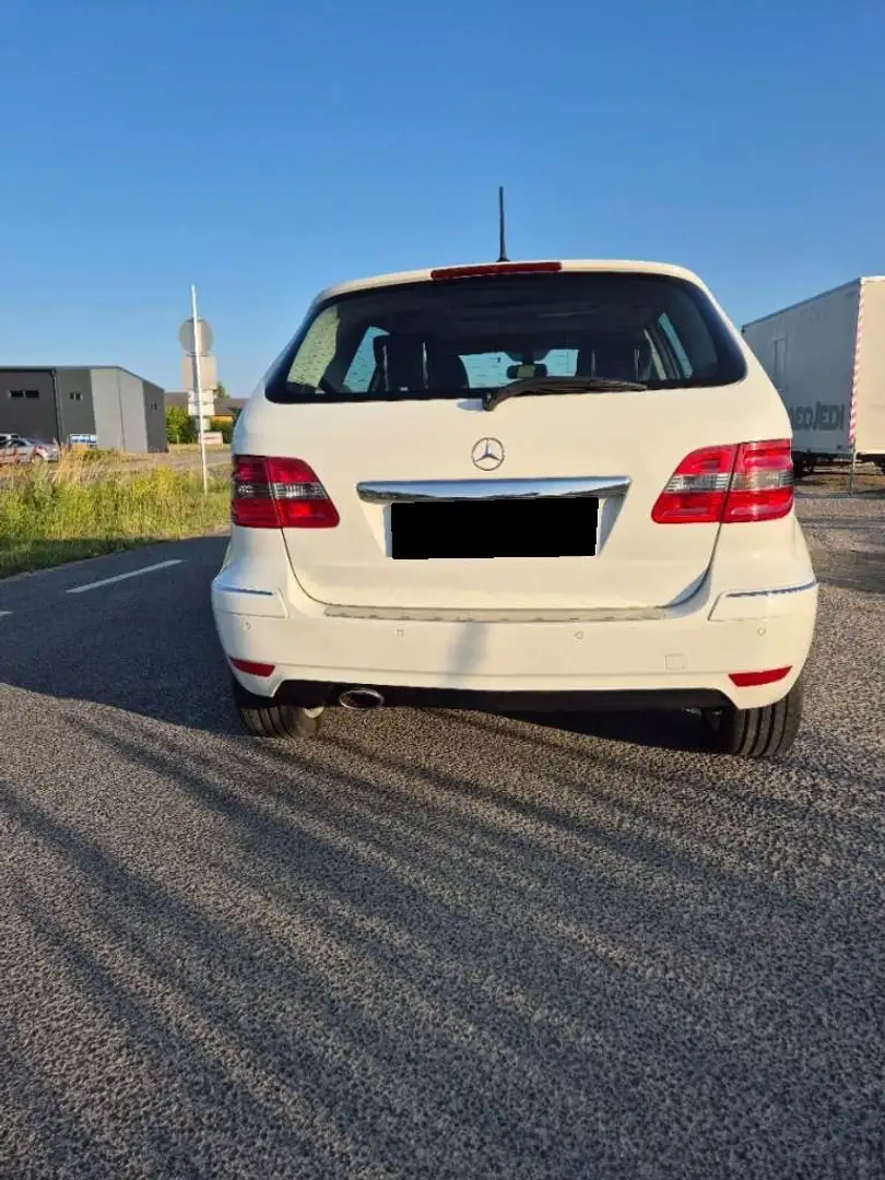 Mercedes-Benz B 200 Autotronic SPORT EDITION Weiß - 2