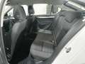 Skoda Octavia 1,6 TDI Ambition Weiß - thumbnail 11