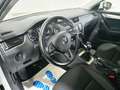 Skoda Octavia 1,6 TDI Ambition Weiß - thumbnail 6