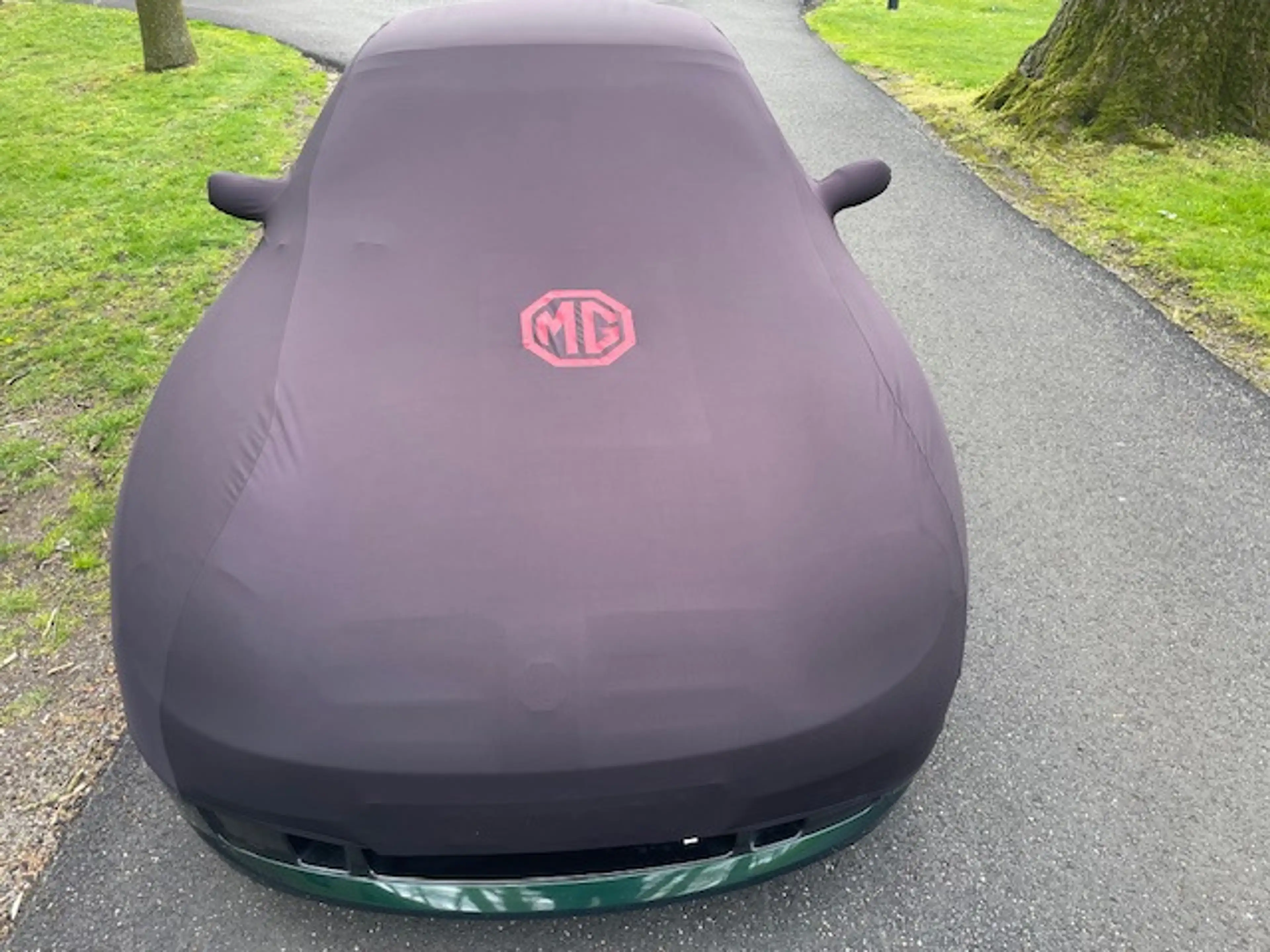 MG TF 1.8 TF 135 — photo 13
