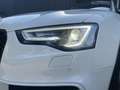Audi A5 Sportback 3.0 TFSI Quattro AUT/Schaalstoelen/B&O. Weiß - thumbnail 13