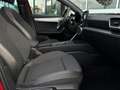 SEAT Leon 1.5 eTSI FR Launch Edition / Pano Rood - thumbnail 11