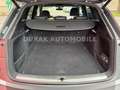 Audi Q5 40 TDI QUATTRO SPORT/ S-LINE/ KEYL/ AHK/ PANO Gris - thumbnail 38