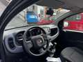 Fiat Panda PROMO FINANZIAMENTO 1.0 Hybrid Nero - thumbnail 6