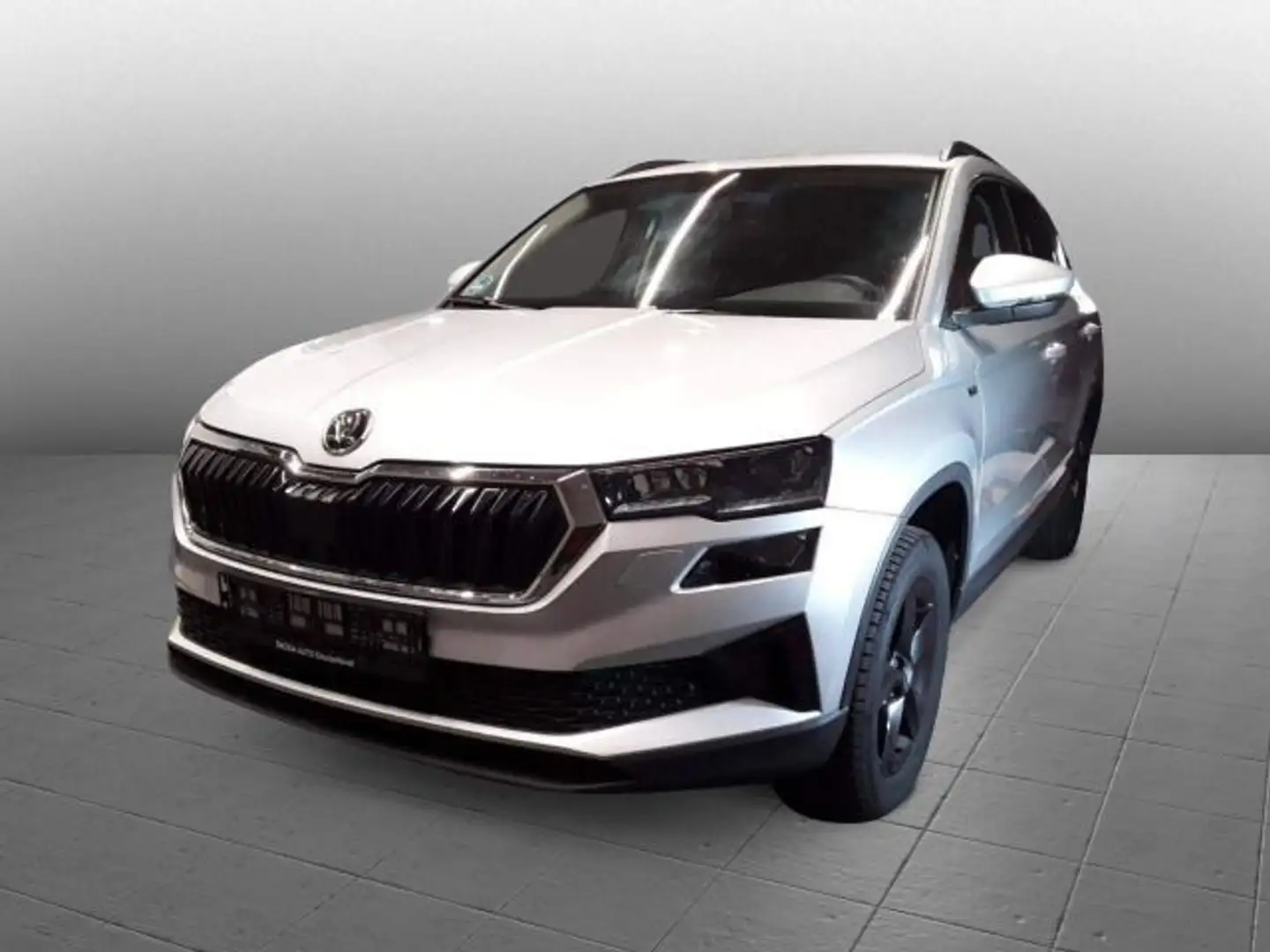 Skoda Karoq Tour Selection 1.5TSI DSG Navi LED EPH GRA Silber - 1
