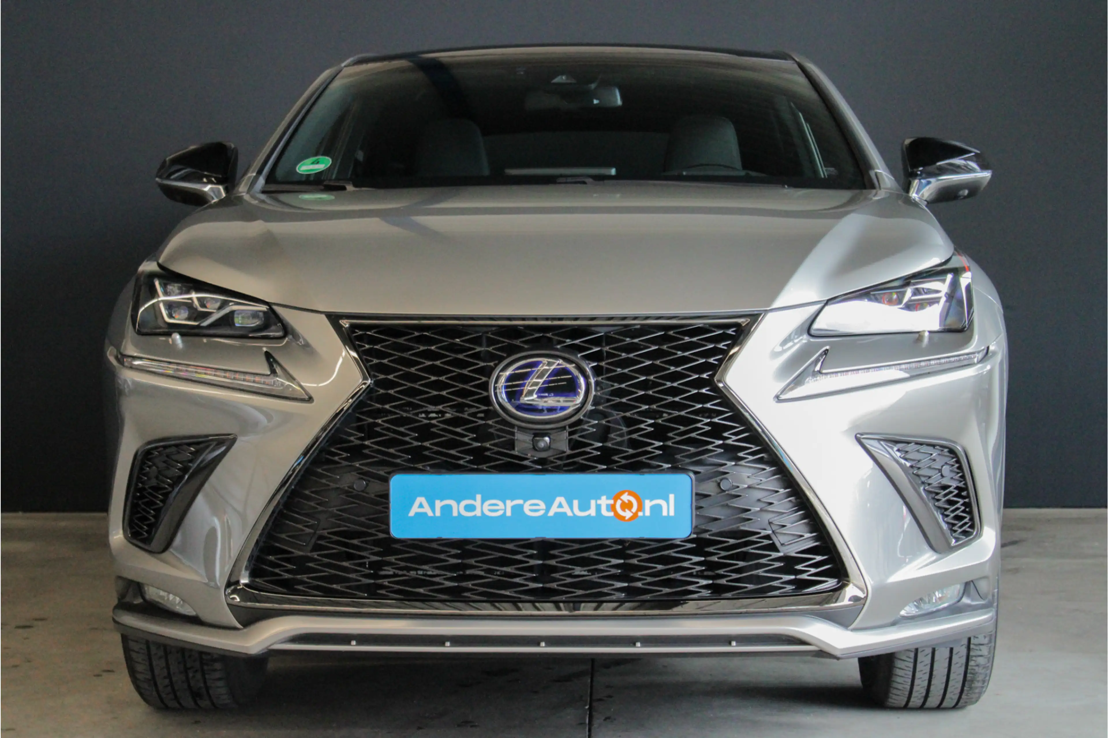 Lexus NX 300h AWD F Sport Premium |trekhaak|President Pack|pano| — photo 6