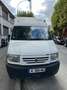 Renault Mascott CHDC 110.35 EMP 4.13 Blanc - thumbnail 1