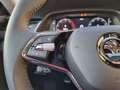 Skoda Octavia IV Combi 2.0 TDI DSG Style Pano Navi MatrixLED 17A Grau - thumbnail 29