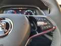 Skoda Octavia IV Combi 2.0 TDI DSG Style Pano Navi MatrixLED 17A Grau - thumbnail 30