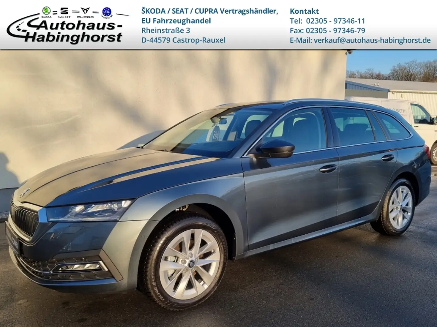 Skoda Octavia IV Combi 2.0 TDI DSG Style Pano Navi MatrixLED 17A Grau - 1
