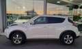 Nissan Juke 1.6 GPL Acenta UNICO PROPRIETARIO Bianco - thumbnail 5