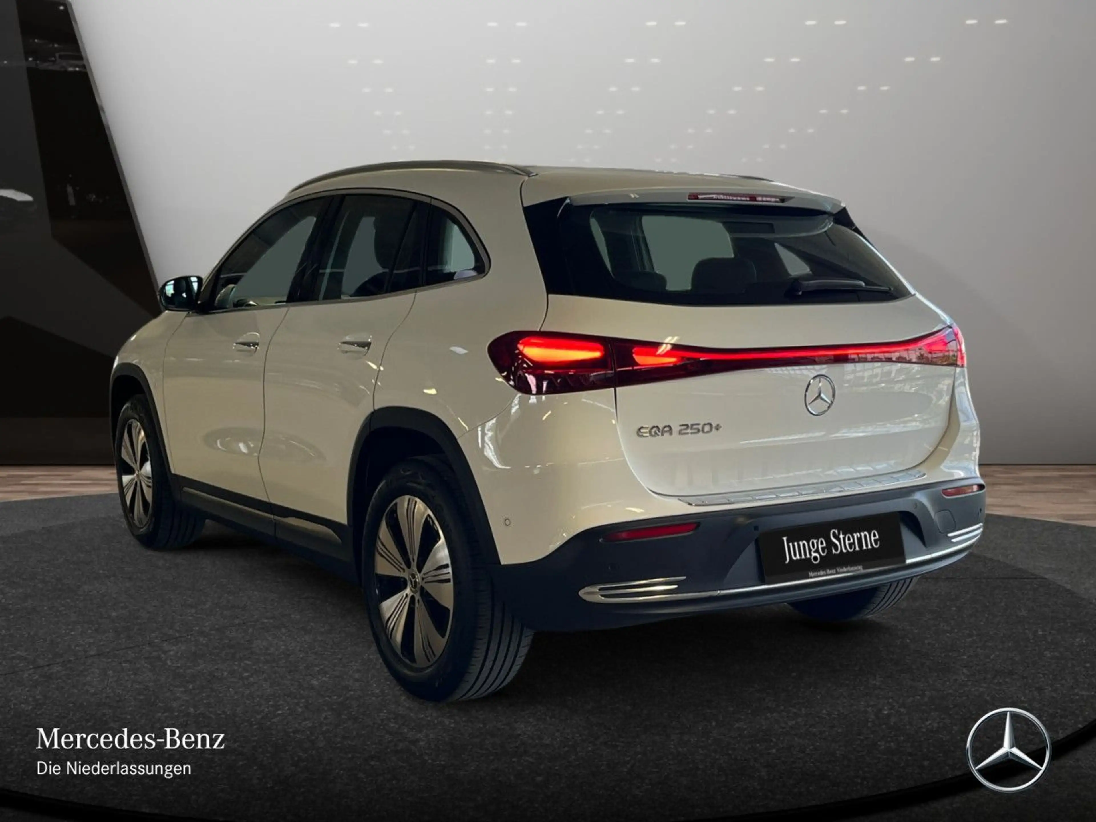 Mercedes-Benz EQA 250 PROG+PLUS-PAKET+AHK+PANO+KAMERA+KEYLESS — photo 10